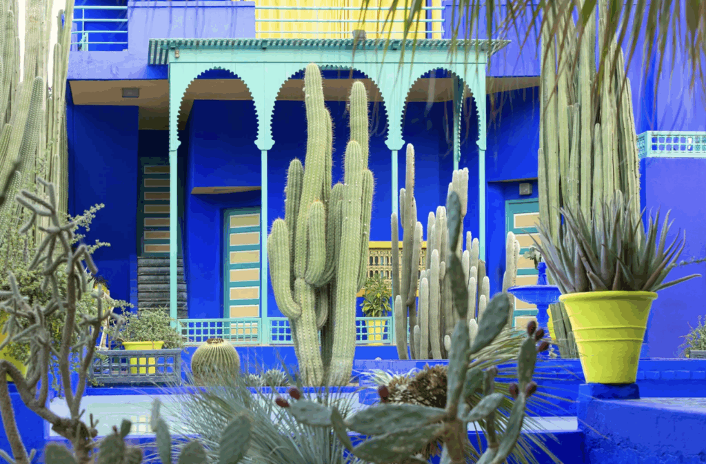 Marrakech Guéliz