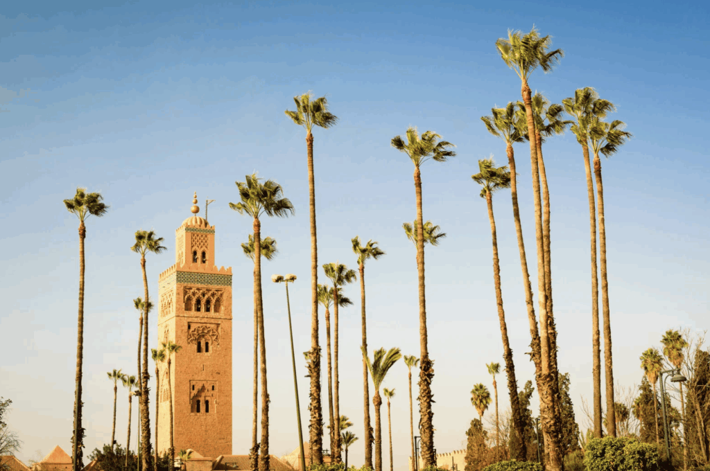 Palmeraie de Marrakech