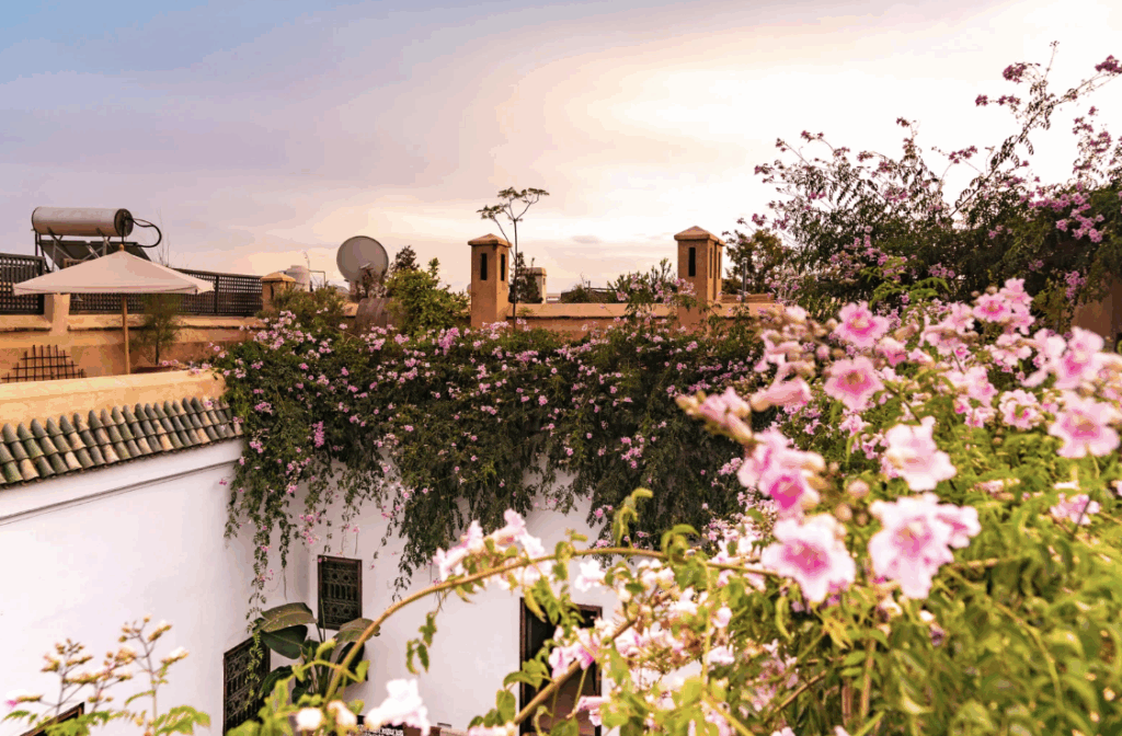 Marrakech jardin