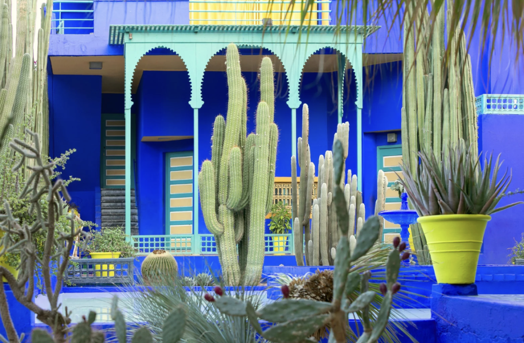 marrakech jardin majorelle